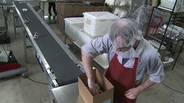 Have Dreams: Focusing on Abilities Not Disability in the workplace