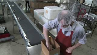 Have Dreams: Focusing on Abilities Not Disability in the workplace