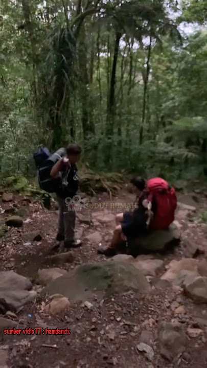 PERTAMA MUNCUK GUNUNG GEDE HAMPIR DI BAWA KE ALAM MEREKA😱##trending #shorts #horror #hantu #jin