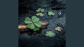 Clover Reflections