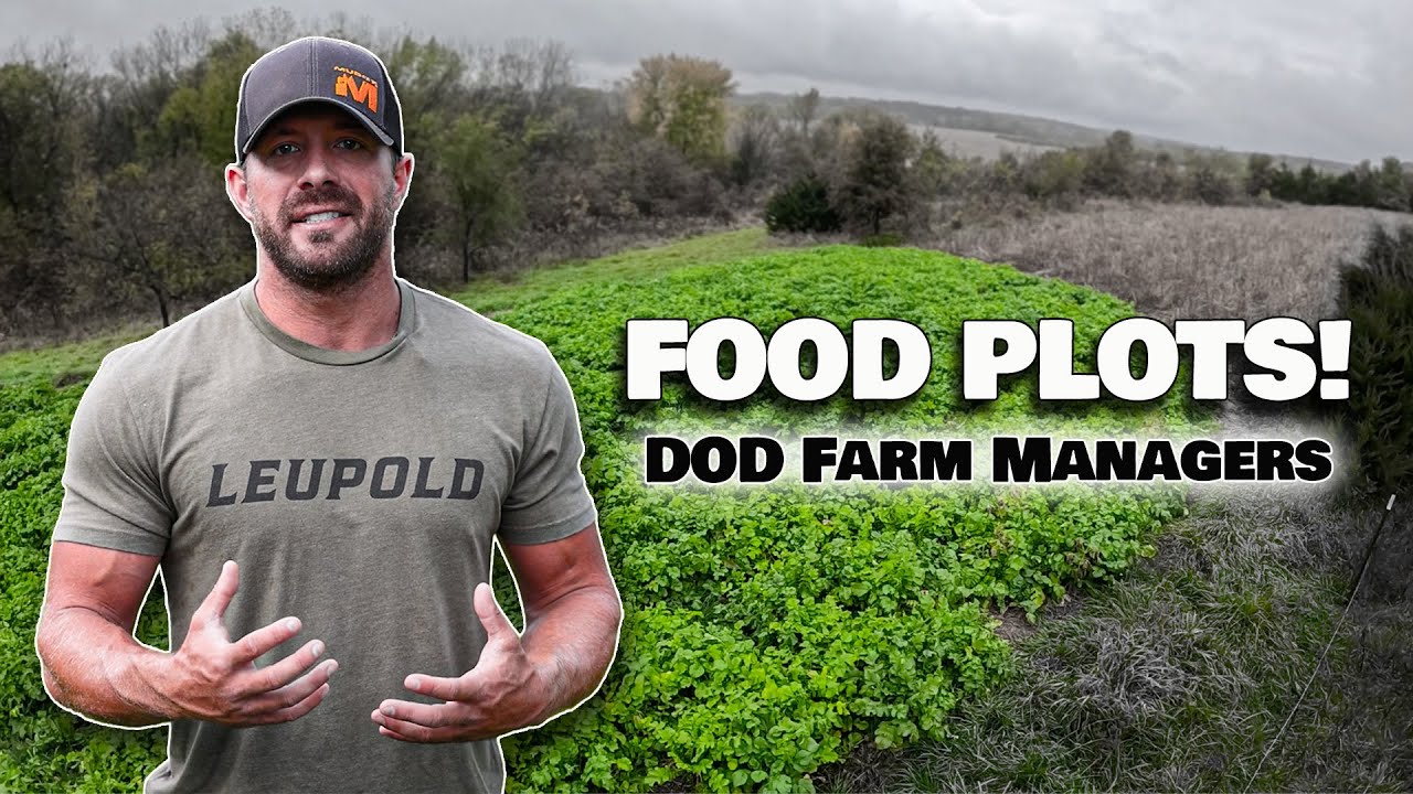 Fall Food Plot Guide: What to Plant, When & How | Deer Season 25