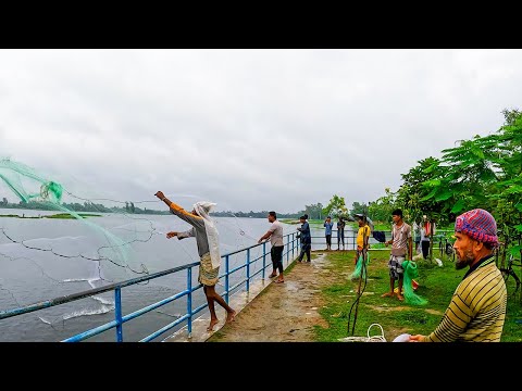 বৃষ্টির দিনে টাঙ্গন ব্রিজে ঝাকি জাল দিয়ে সবাই মিলে ভালোই মাছ পেলাম | #traditional_fishing #fishing