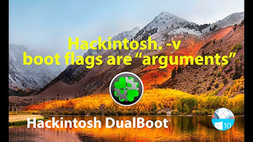 Hackintosh.  boot flags are "arguments" -v