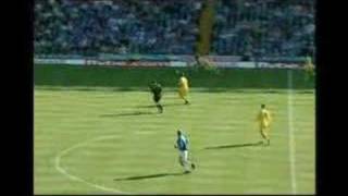 Seb Larsson Goal Vs Sheffield Wednesday 06/07