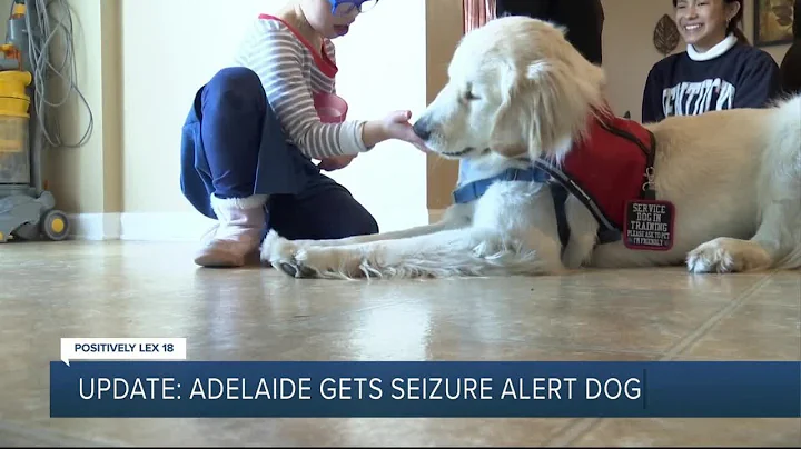 Update: Adelaide gets seizure alert dog