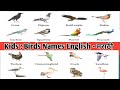 Birds names english  marathi  kidskidzstudyzone2052