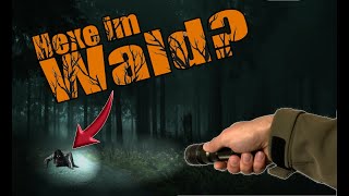 Verstörender Fund Im Hexenwald Spukt Es Hier?