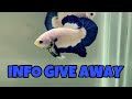 INFO TANGGAL (BERUBAH) PENGUMUMAN GIVE AWAY!! SUDAH DITUTUP