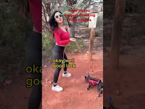 #sketchcomedy #comedy #jokesonme #doglovers