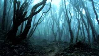 Drone / Dark Ambient - Haunted Sucide Forest
