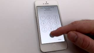 How to Manage Safari Autofill Information on iOS