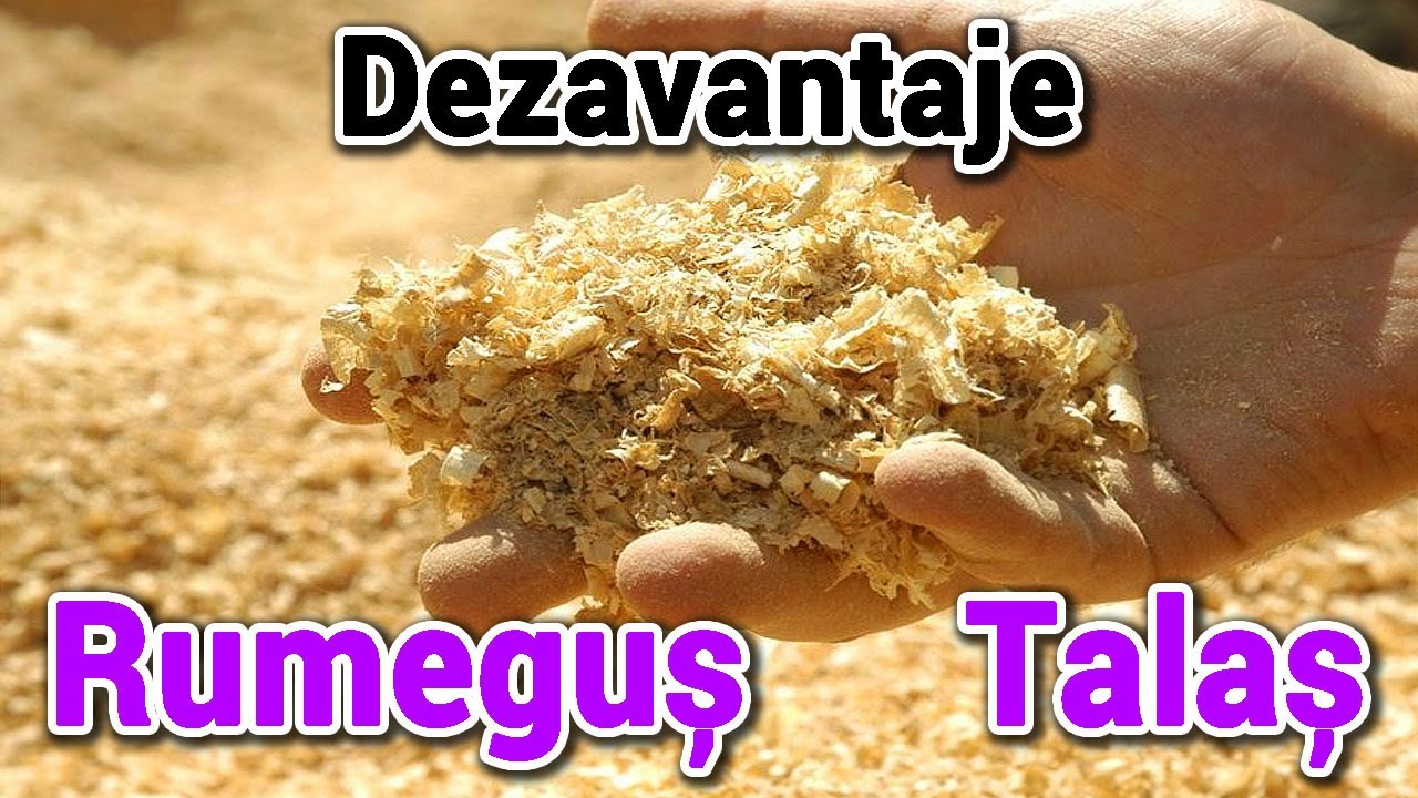 forex cei mai buni indicatori