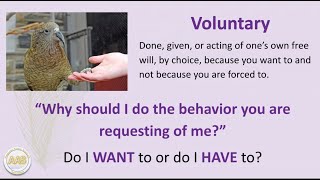 Cooperative Care for Low Stress Veterinary Procedures with Cassie Malina Recorded April 12 2025