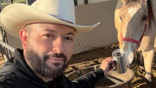 La vida de Rancho en California 💪🏻💪🏻🤠🐴🐐🐕🐓 #ranchlife #rancho #trabajando #caballos #farm