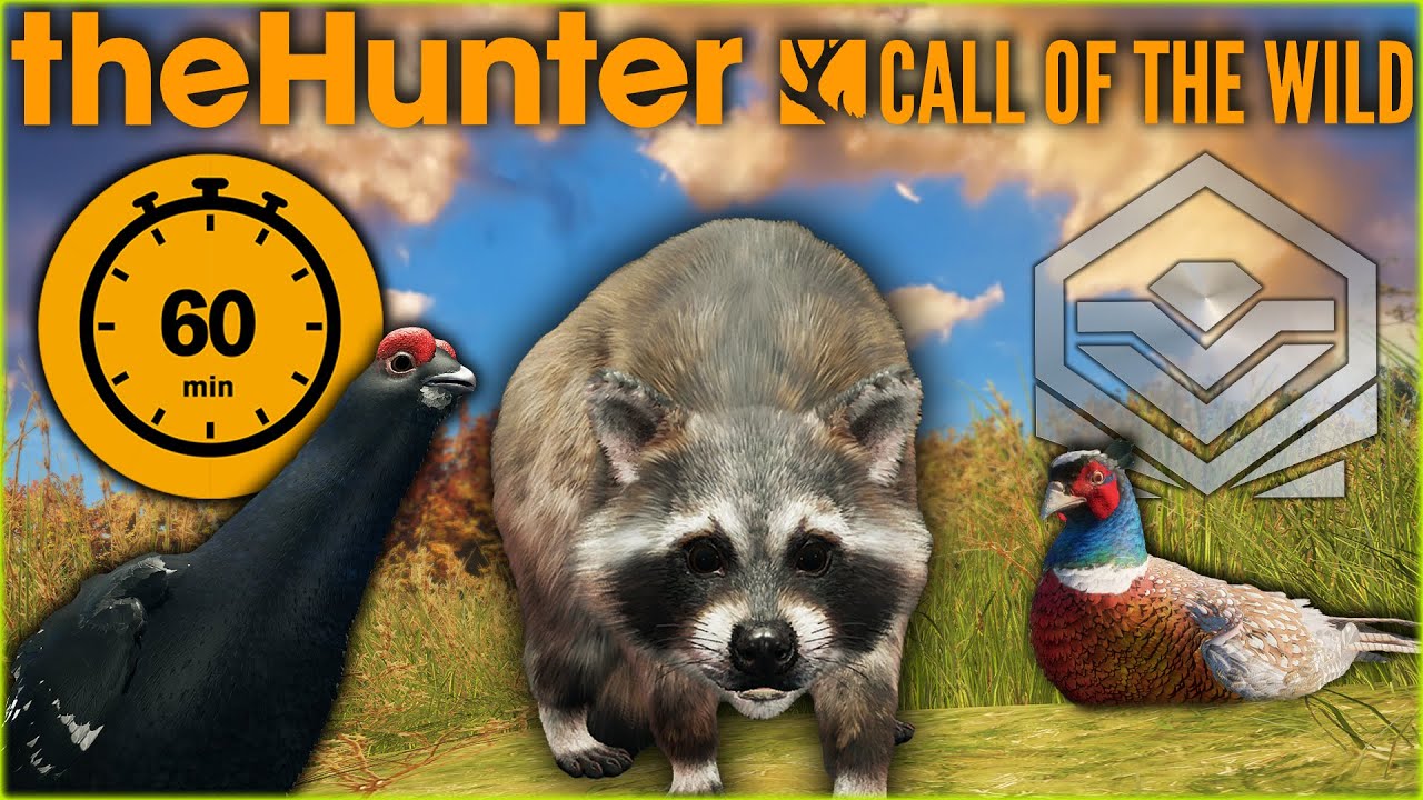 Cod The Racoon Did That Really Just Happen With A Diamond Raccoon... 60 Minute Trophy ...