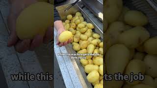 #vegetablecutter #commercialcutter #multifunctionalcutter #vegetableprocessing #industrialcutter