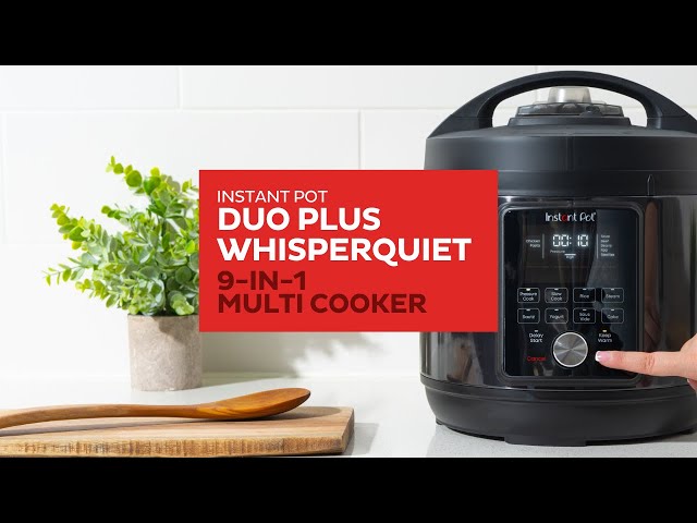 Instant Pot 6-Quart Duo Plus Pressure Cooker