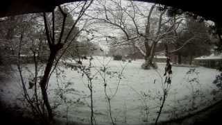 Memphis Feb 9 ,2011 Snow time lapse