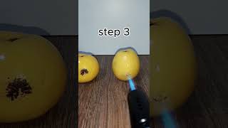 Apple vs 4 Levels of Extreme Fire! 🍏🔥 Slow Burn to Total Destruction!