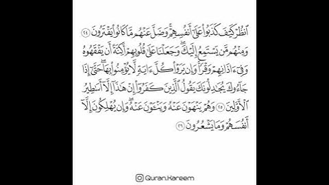 القارئ سعد الغامدي - سورة الأنعام - من الآية 24 إلى الآية 26