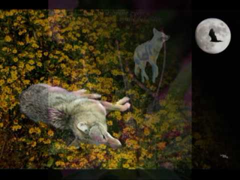 Fine Art Photographs Gallery 2 by Karen DeBaun