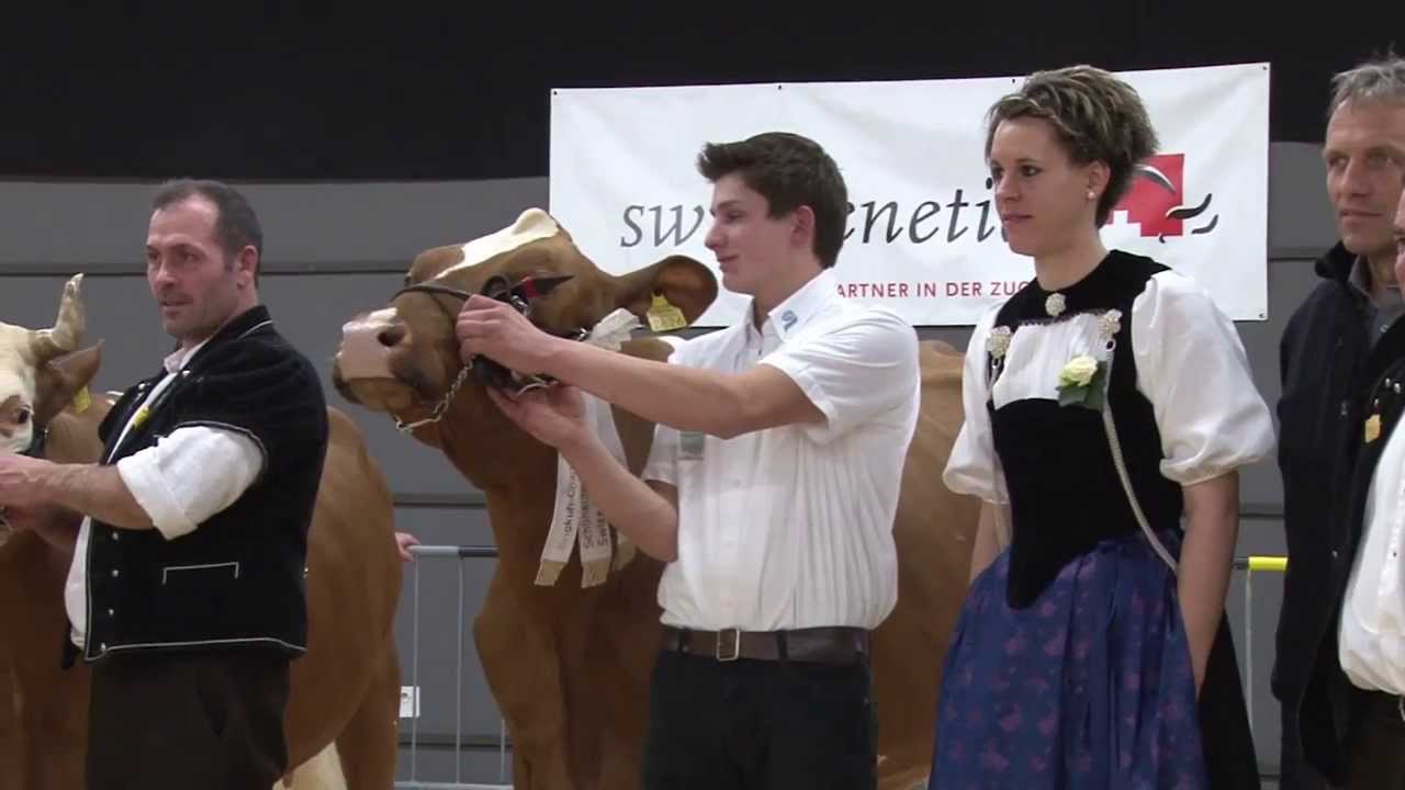 Misswahlen Jungkuhchampionat