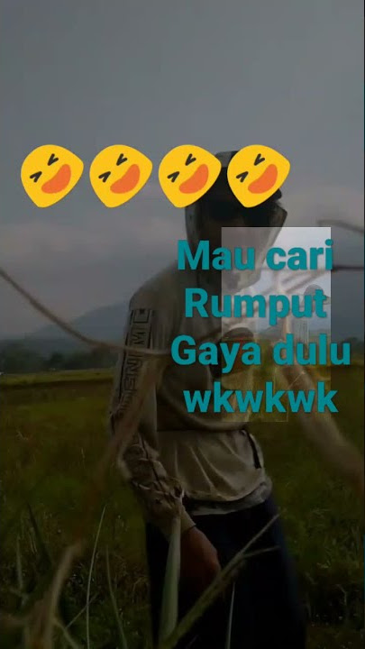 Cari rumput 'Buat pakan ternak' || Domba #shorts