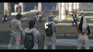 Zectin Slonger I Apollo Networks #1