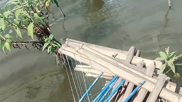 kẹp cò vạc diệc bao tét loại cần sắt siêu bền thanh lý sdt 0977283798