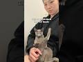 Mogi’s biscuit factory shut down after failing sanitary inspections #cat #kitten #cutecat #catvideos