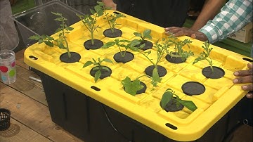 Building an Inexpensive Hydroponics/Aeroponics System
