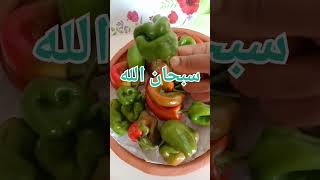 أغرب_فلفل#شكل _عجيب#سبحان_الله#فلفل_أحمر#فلفل_أخض#poivron#shortsvideo#viral#follow#food#subscribe