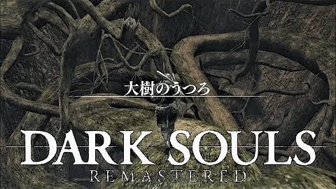 大樹のうつろ トカゲ