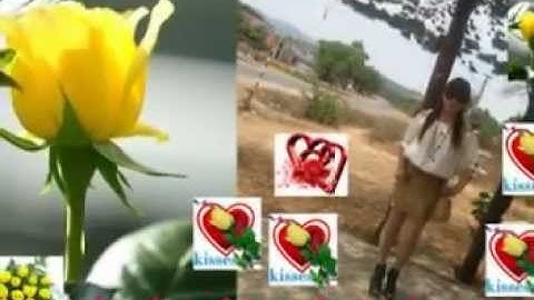 CĂN NHÀ MÀU TÍM.mpg