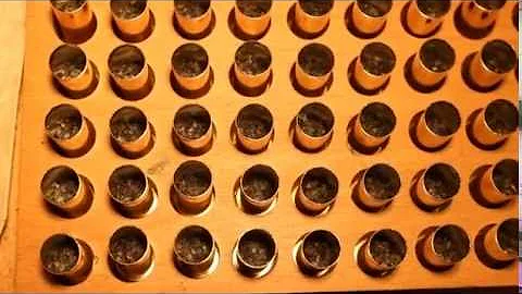 The Versatile and Capable 44 Spl: Grab Ammo cont'd - Range And Recreation