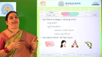 27TH NOV AP CLASS II SL TELUGU AMAZING ASSIGNMENT