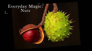 Famous Everyday Magic: Nuts Wealth