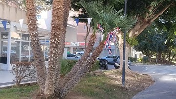 BENIDORM COSTA BLANCA SPAIN whats open up by the RIOI PARK.mp4