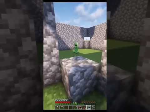 creeper vs cat 🤣🤣