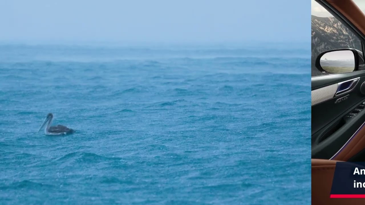 "Unlock Ultimate Joint Health with Exclusive Savings on Joint Genesis - Limited Time Discount