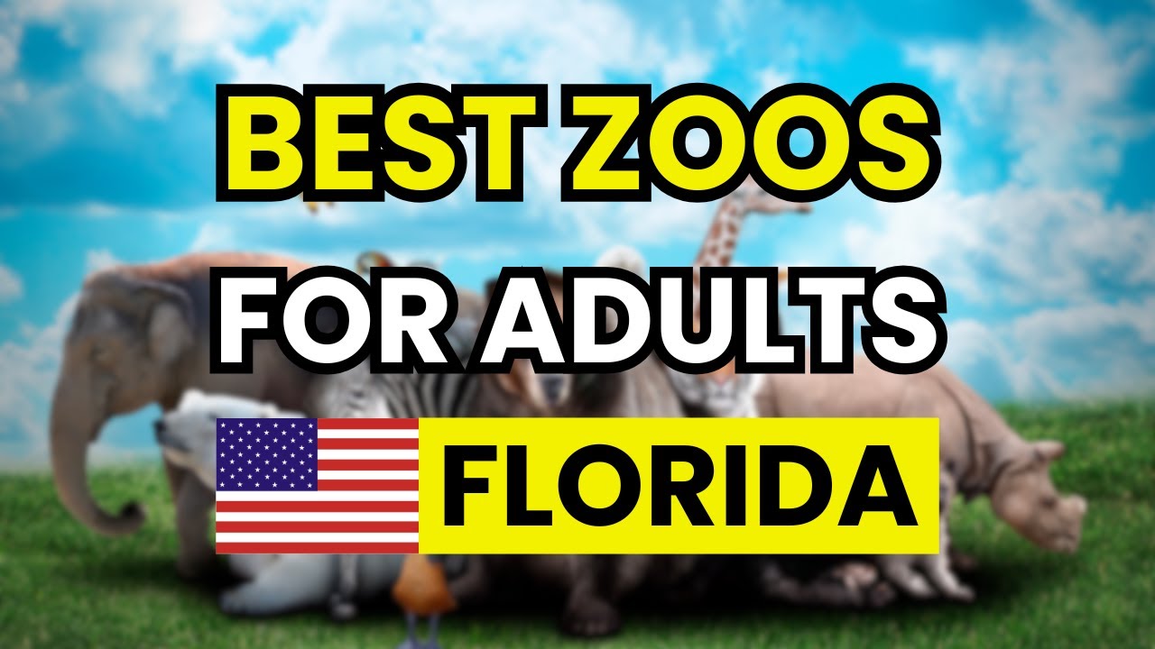 🐒 Top 3 Zoos in Florida for Adults (2026) | Best Visits for Wildlife & Conservation