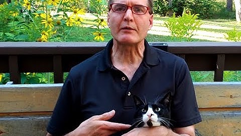 How to Learn a Language Fast?