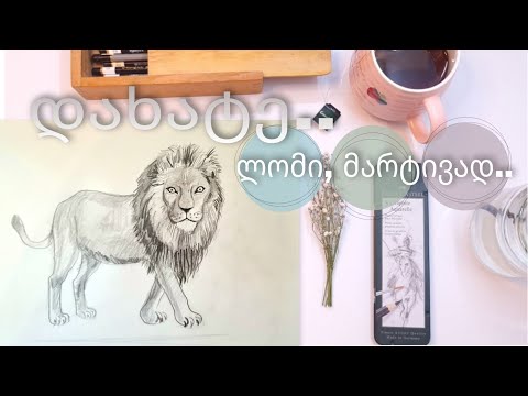 როგორ დავხატოთ ლომი?|| ფანქრით ხატვა|| how to draw a lion step by step