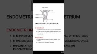 #endometrium & #myometrium#ias #neet