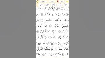 #سورة_عبس #رقم_80 القسم 2