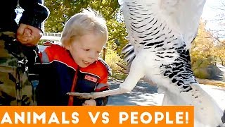 Ultimate People Vs Animals Fail Compilation | Funny Pet Videos February 2018