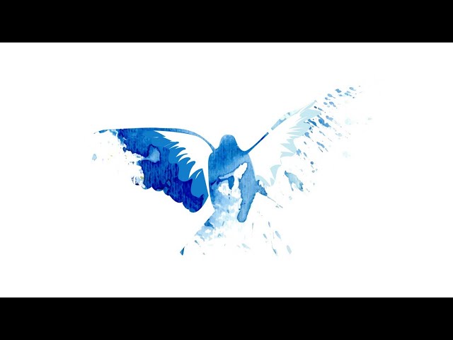 青い鳥 (Blue Bird) /橘リツカ Ritsuka Tatchibana From