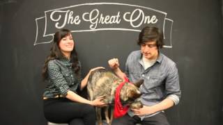 Jack the Great - Petco Great Ones Contest Finalist