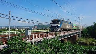 EF210-112 1051ﾚ 矢部川西堤踏切通過