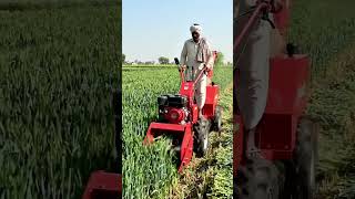 Ye Dekho Doston | Kisan Bhai ka Mini Harvester ka Jabardast Kamaal 🚜🌾 #viral #kisan #farmerlife